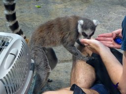 Haus des Meeres 13.03.2026